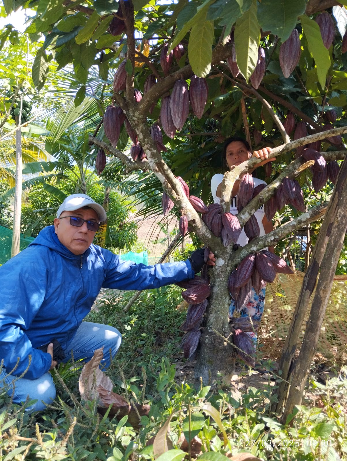 Agricultura Orgánica