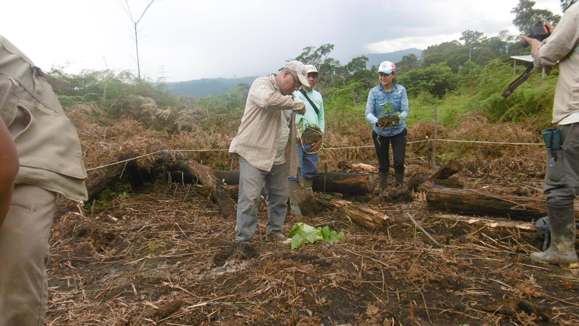 Restauración Ecosistémica